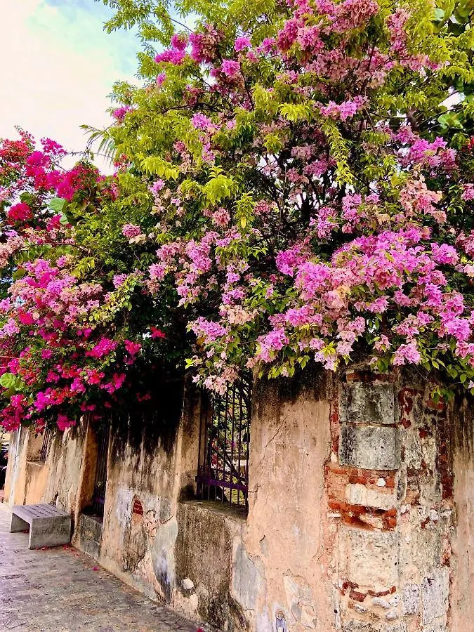 Boutique Hotel Casa Grande Santo Domingo